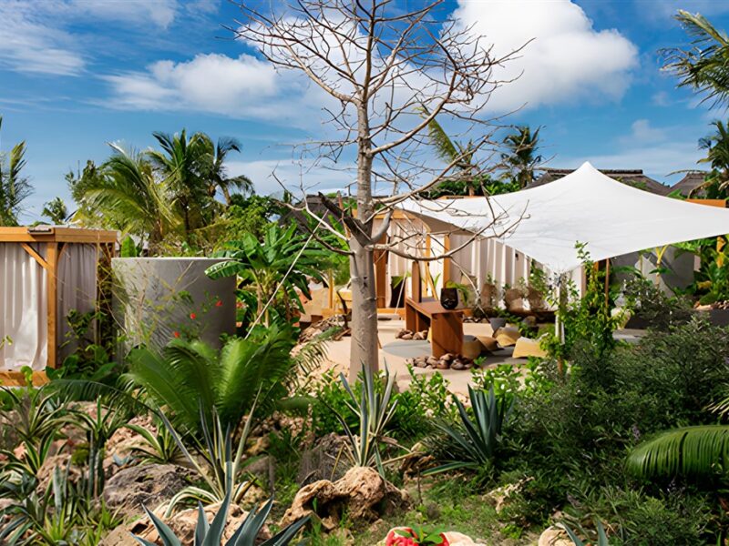 Wellness Area