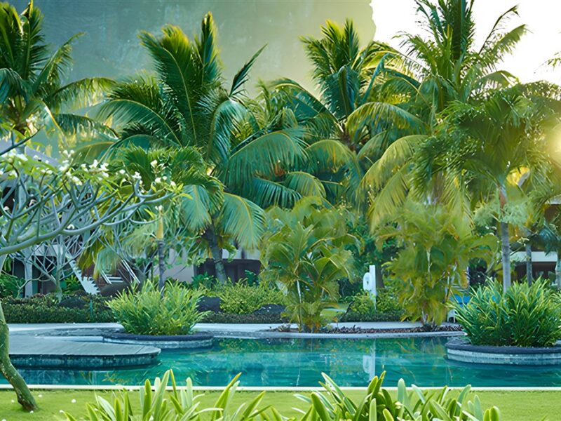 Grounds