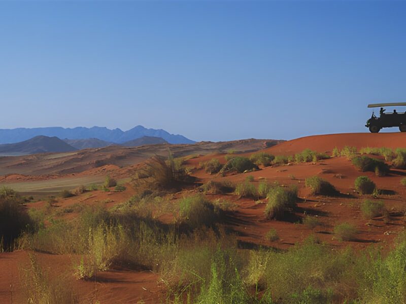 Game drive