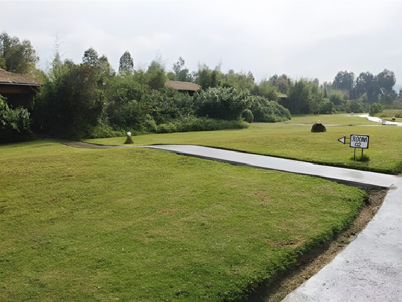 Grounds