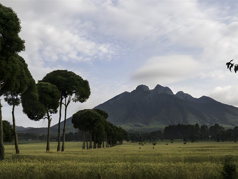 Mount Sabyinyo