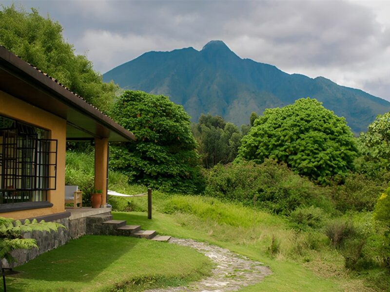 Cottage