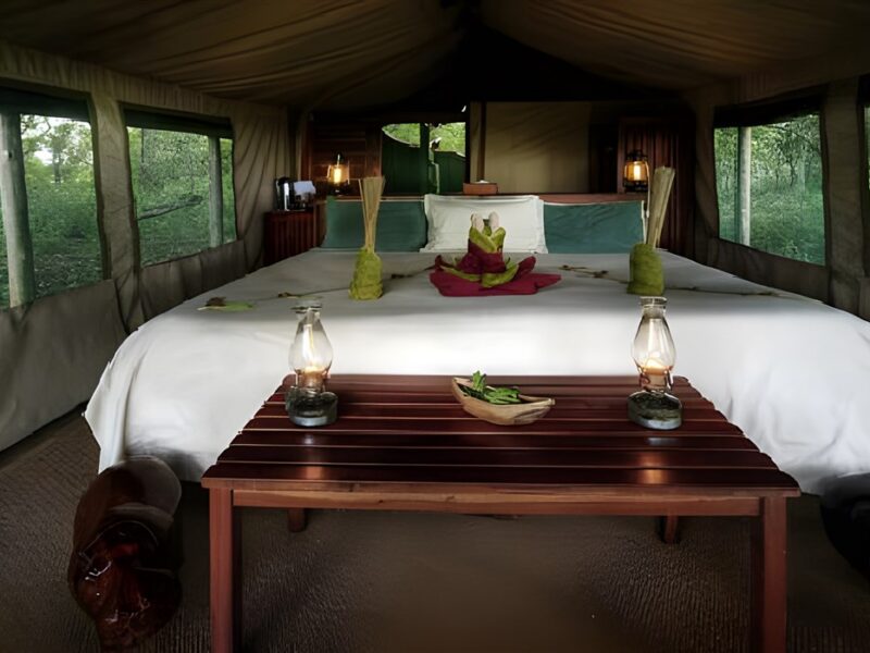 Tent interior