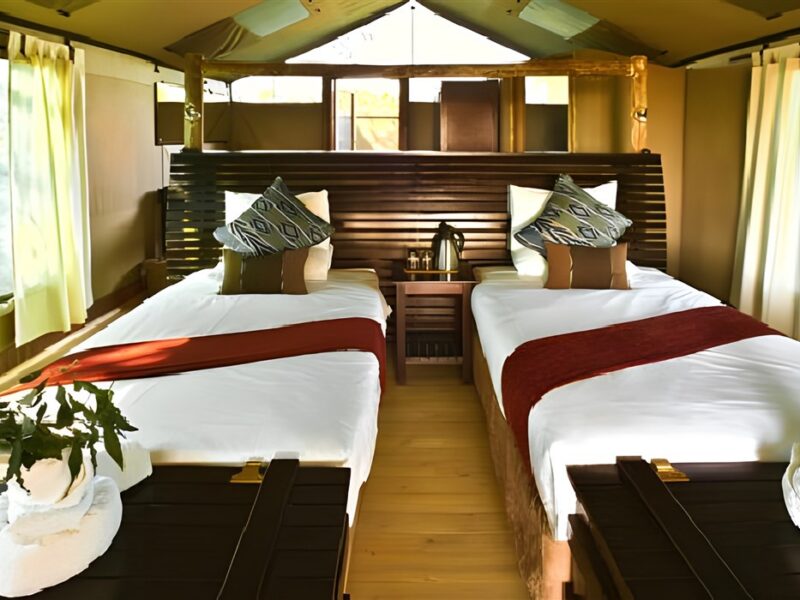 Guest tent