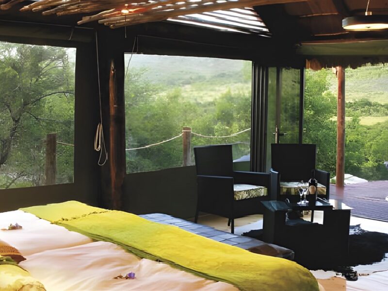 Guest tent