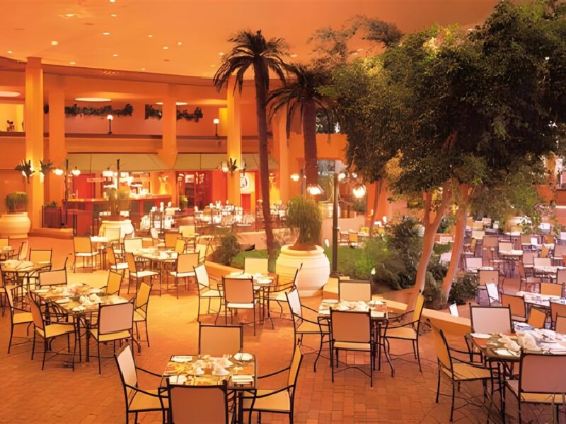 Palm Terrace