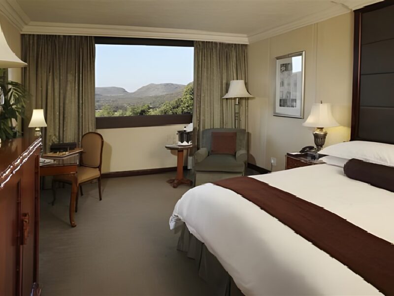 Luxury twin room