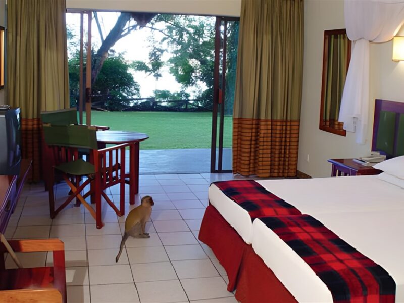 Guest room
