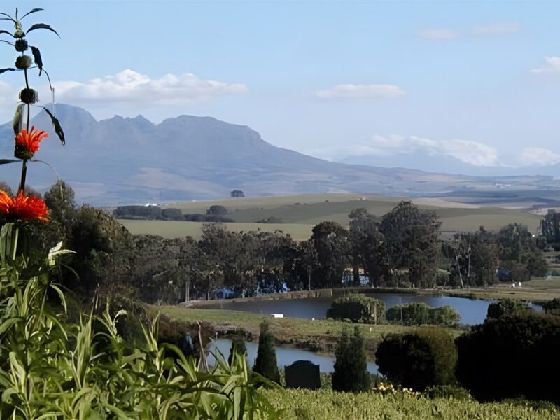 View from terrace
