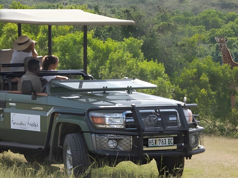 1 Game Drive