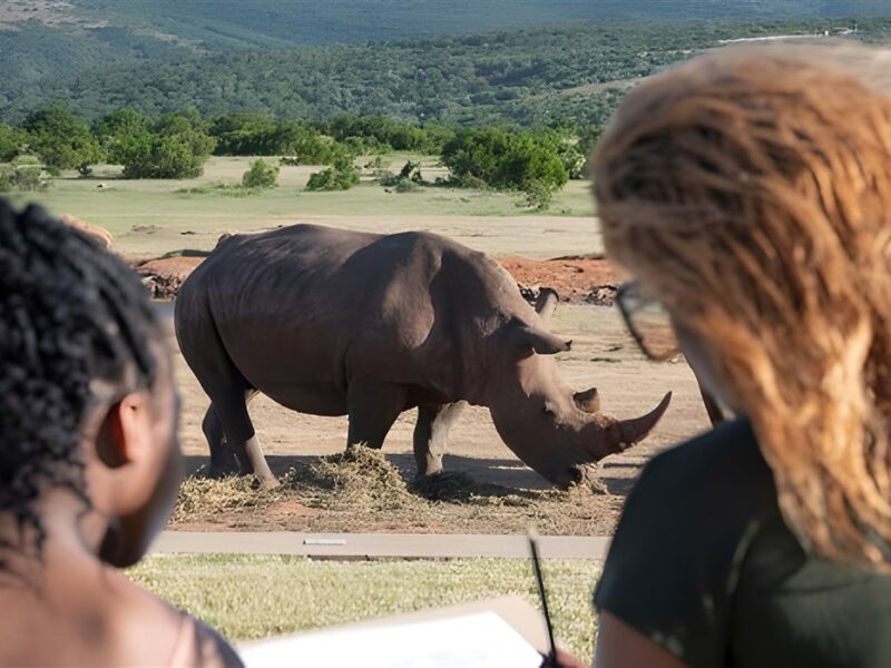 5 Rhino monitoring experience