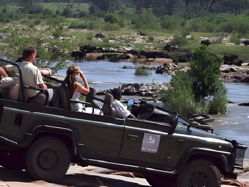 Game drive