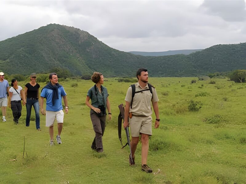Walking safari