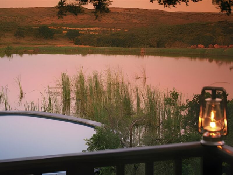 Waterhole at night