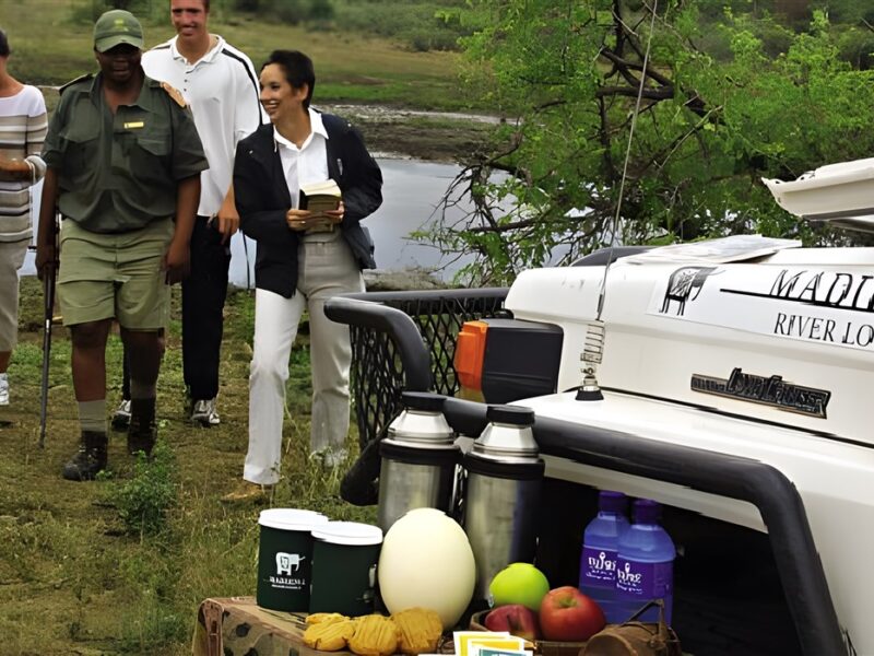 Game drive