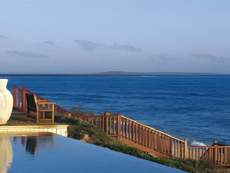 Pool with a view