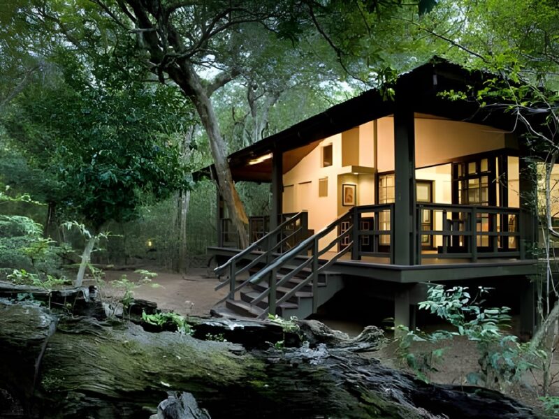 Suite exterior