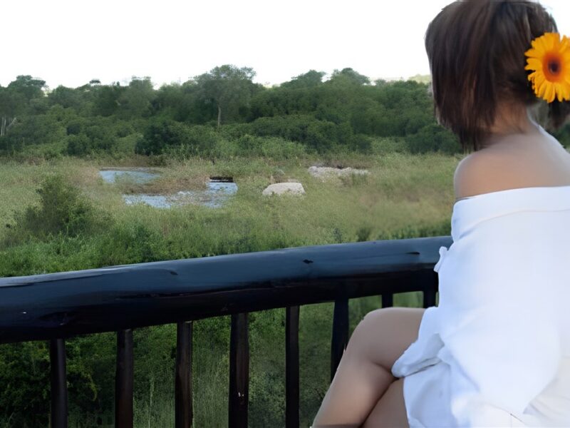 View
