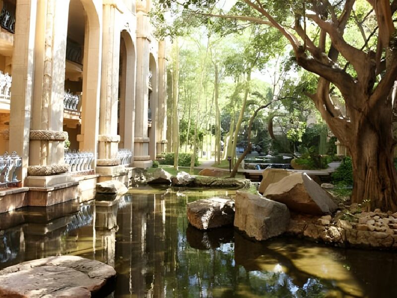 Garden