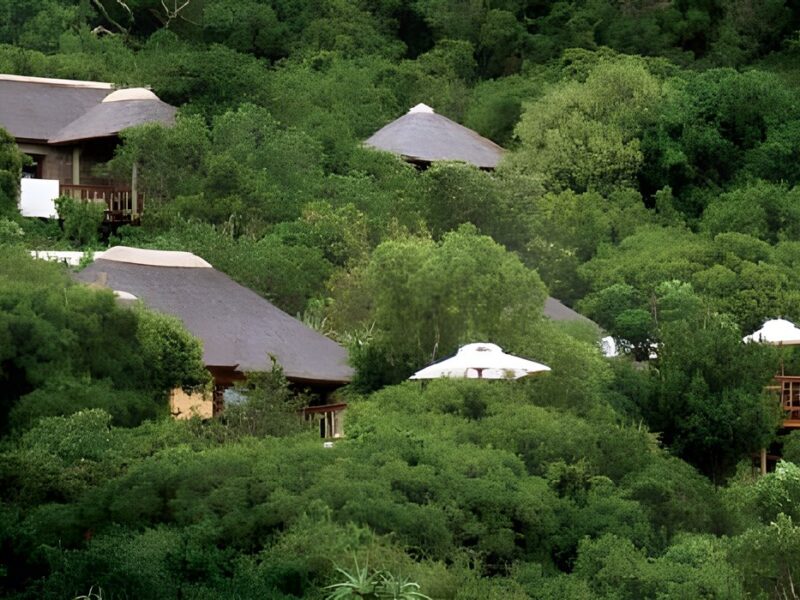 Lush surrounds