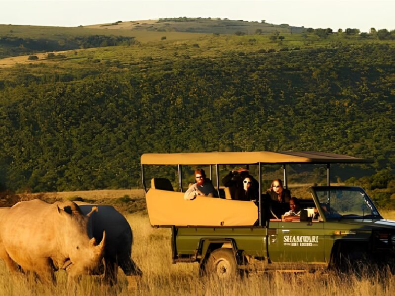 Game drive