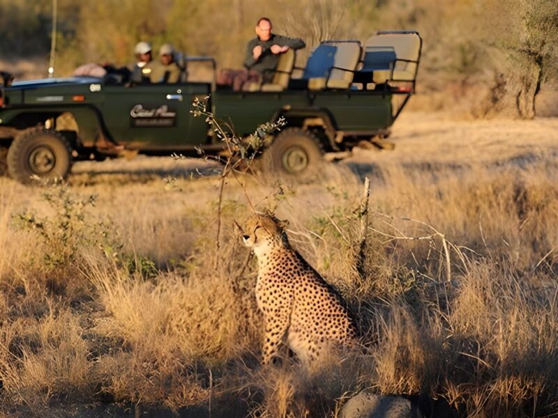 Game drive
