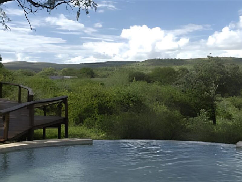 Pool with a view