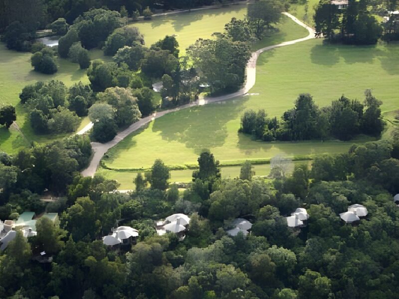 Grounds