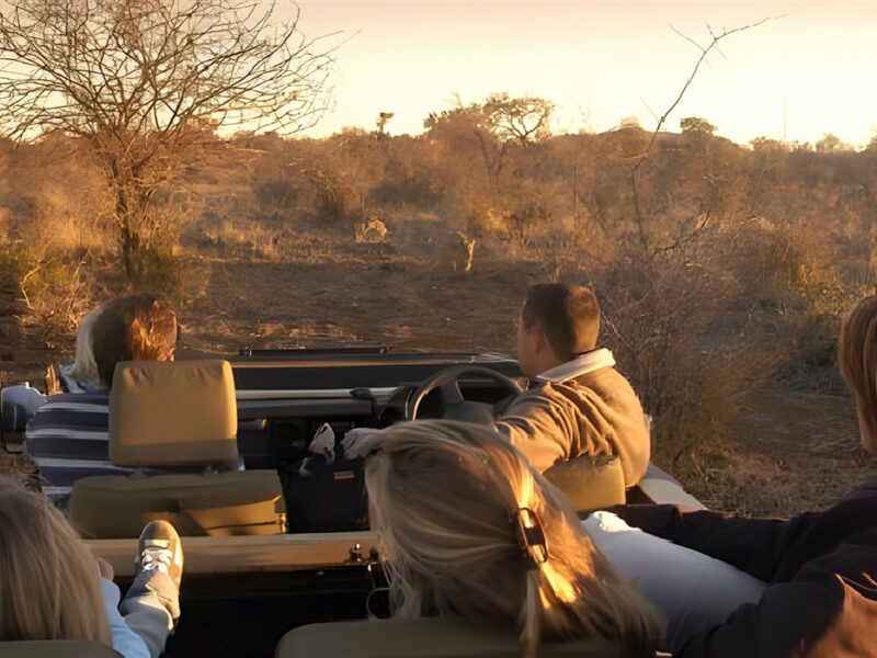 Kids on safari
