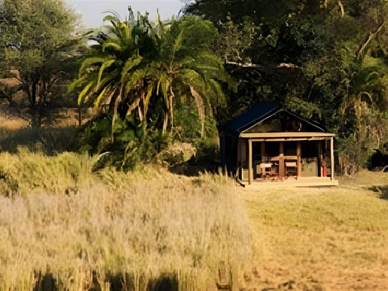 Tent exterior