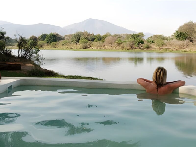 Pool with a view