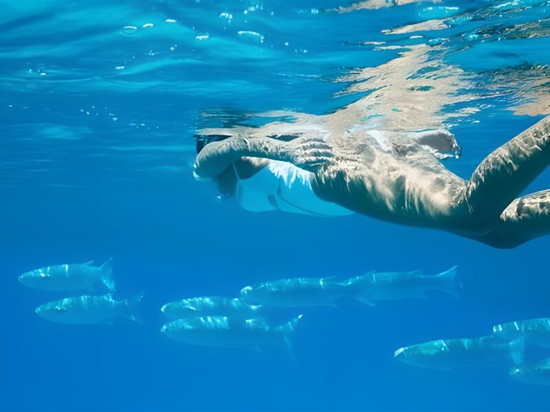 3 Snorkelling