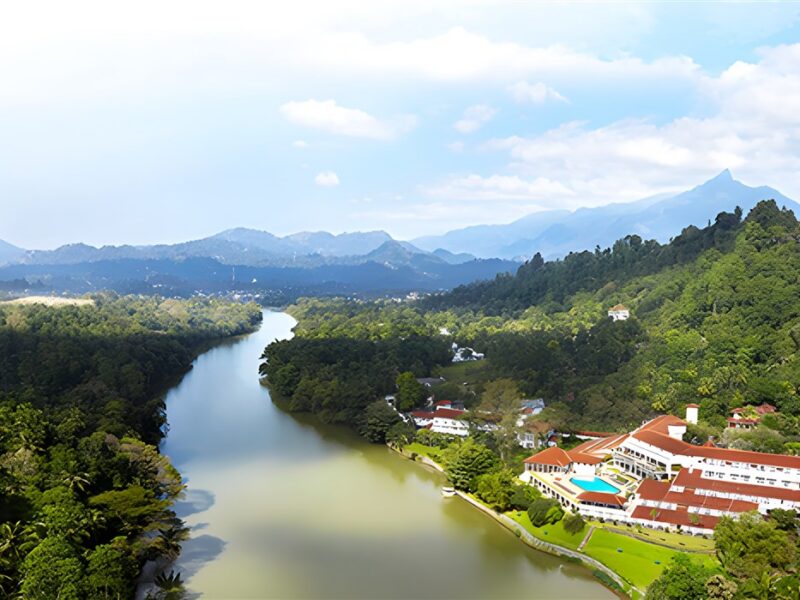 Beside the river