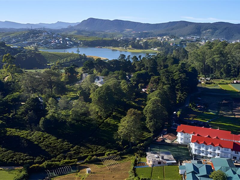Overview