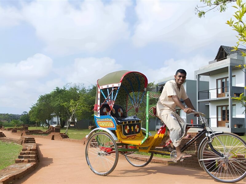 Luggage Rickshaw