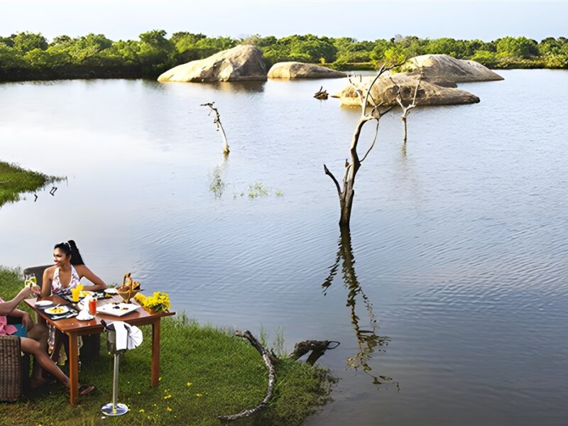 Dinner by the River
