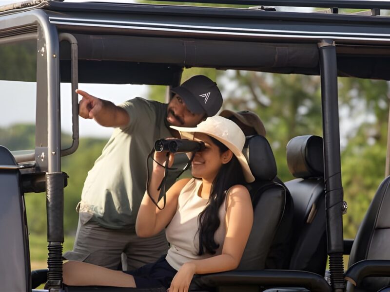 Safari Game Drives
