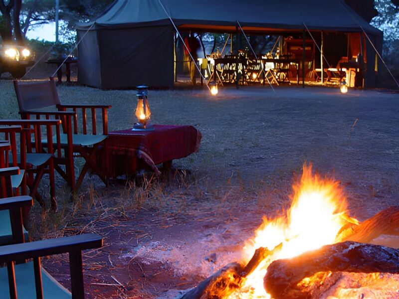 Camp fire