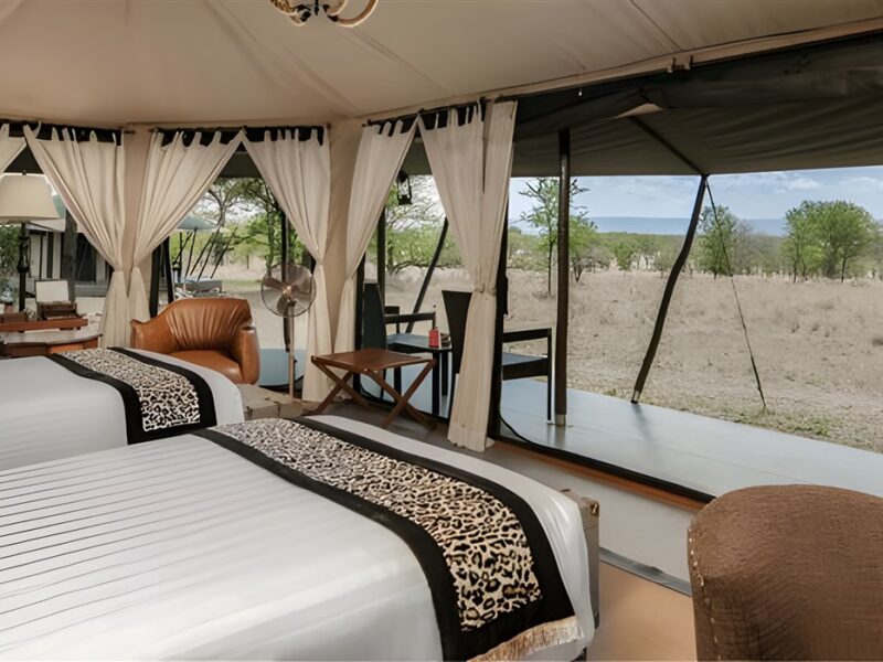 Luxury Twin Tent views
