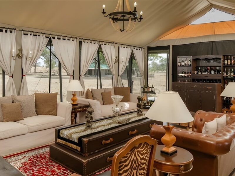 Lounge & Bar Area