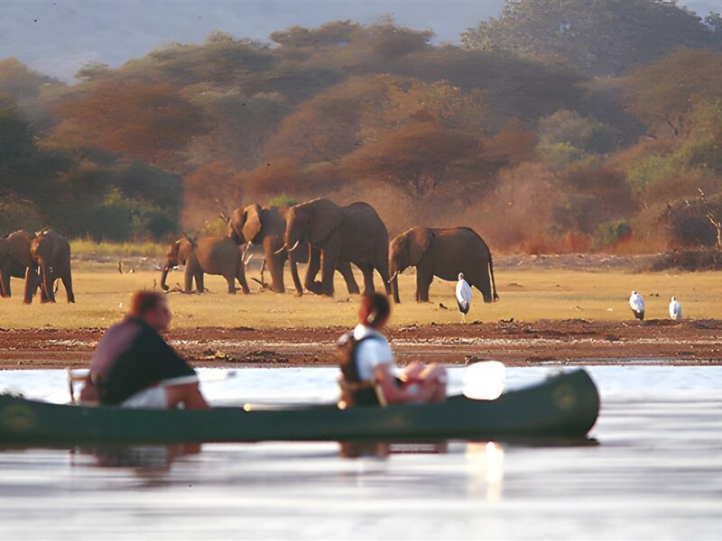 Canoeing on Lake Manyara