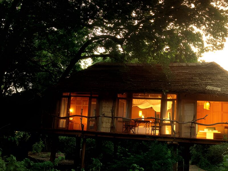 Treehouse
