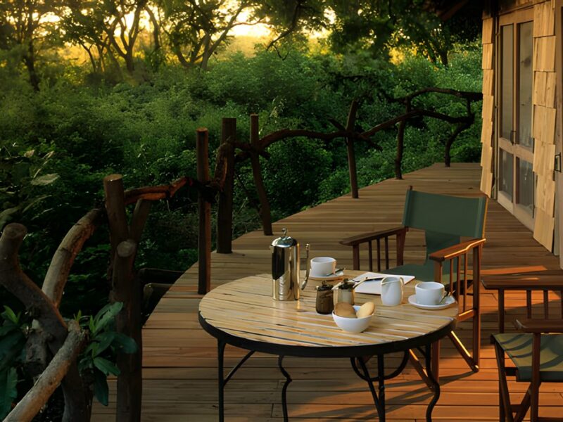 Treehouse deck