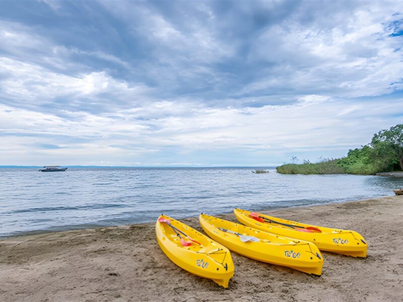 Kayaks