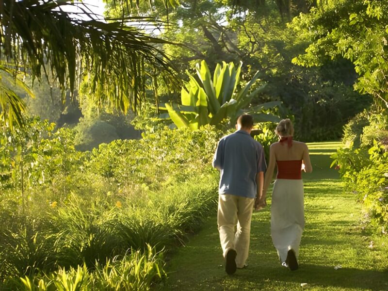 Walk in the garden