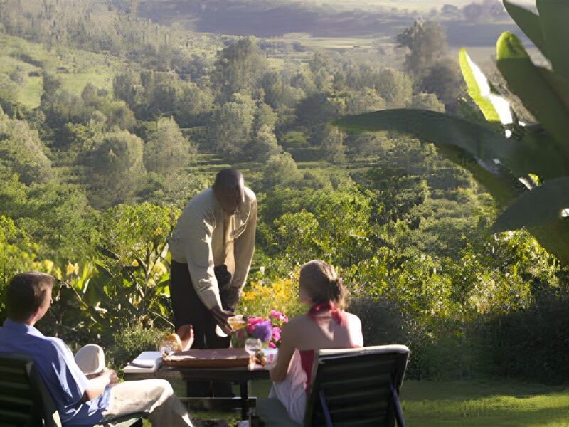 Relax in the garden