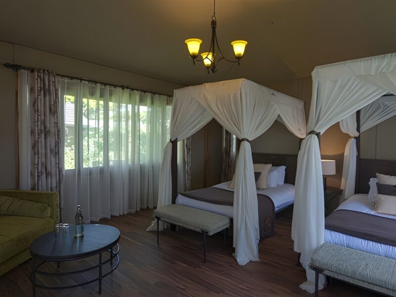 Executive room twin