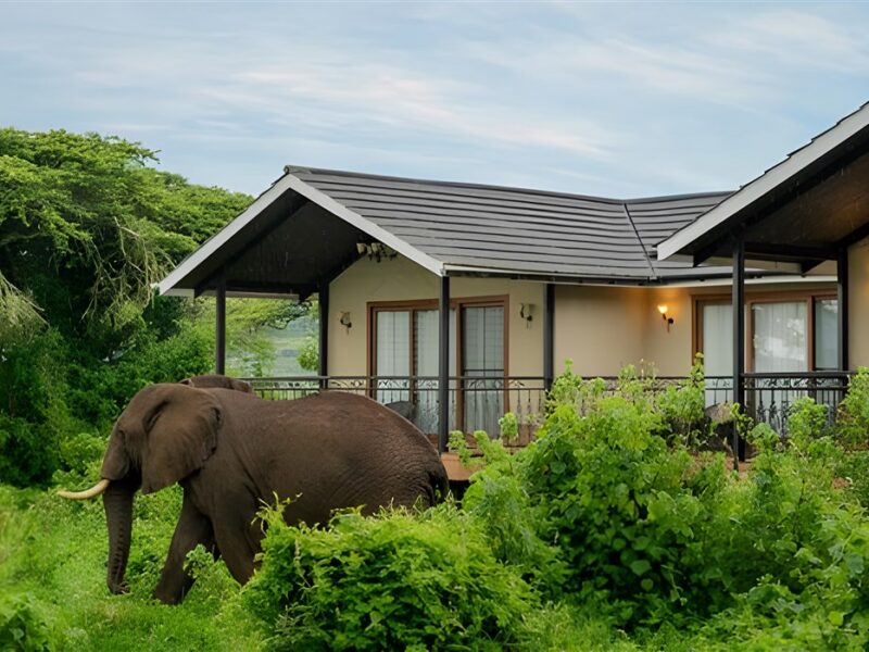 Exterior of family suite