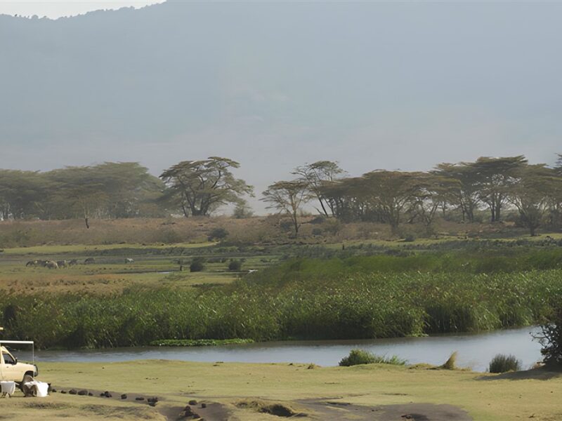 Lunch in the Crater
