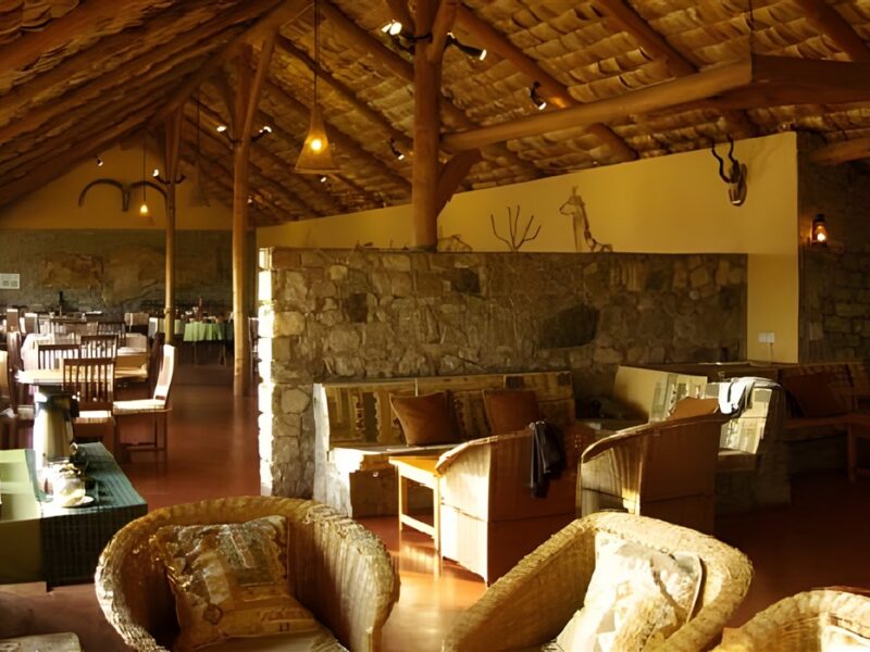 Dine and relax